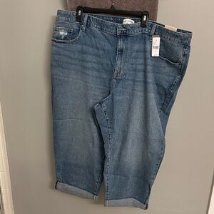 Lane Bryant Light Blue Ankle Jeans